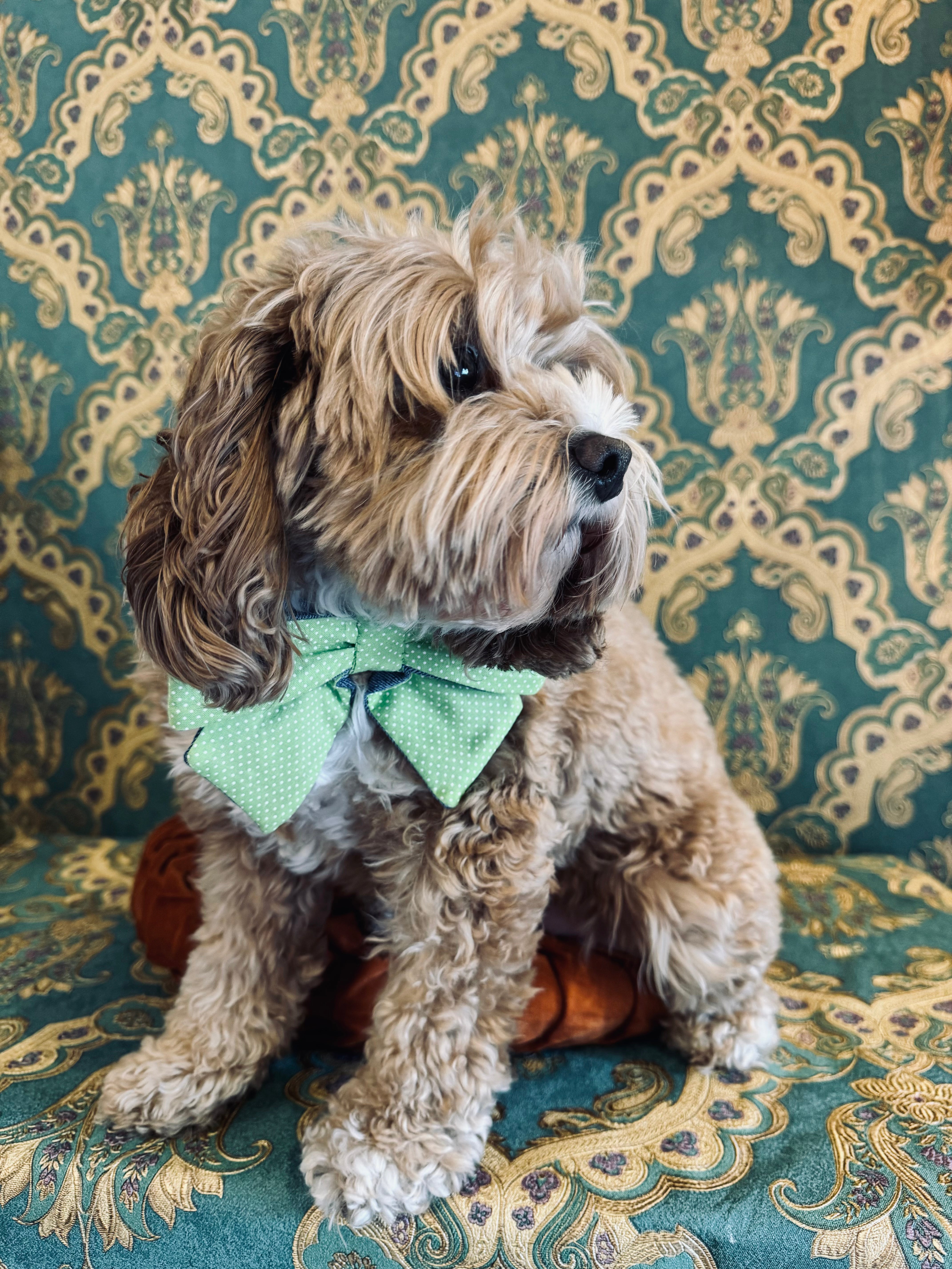 Broochella Poochella dog pet brooch bow collar handmade upcycled denim cotton green white spots polka dots designer luxury