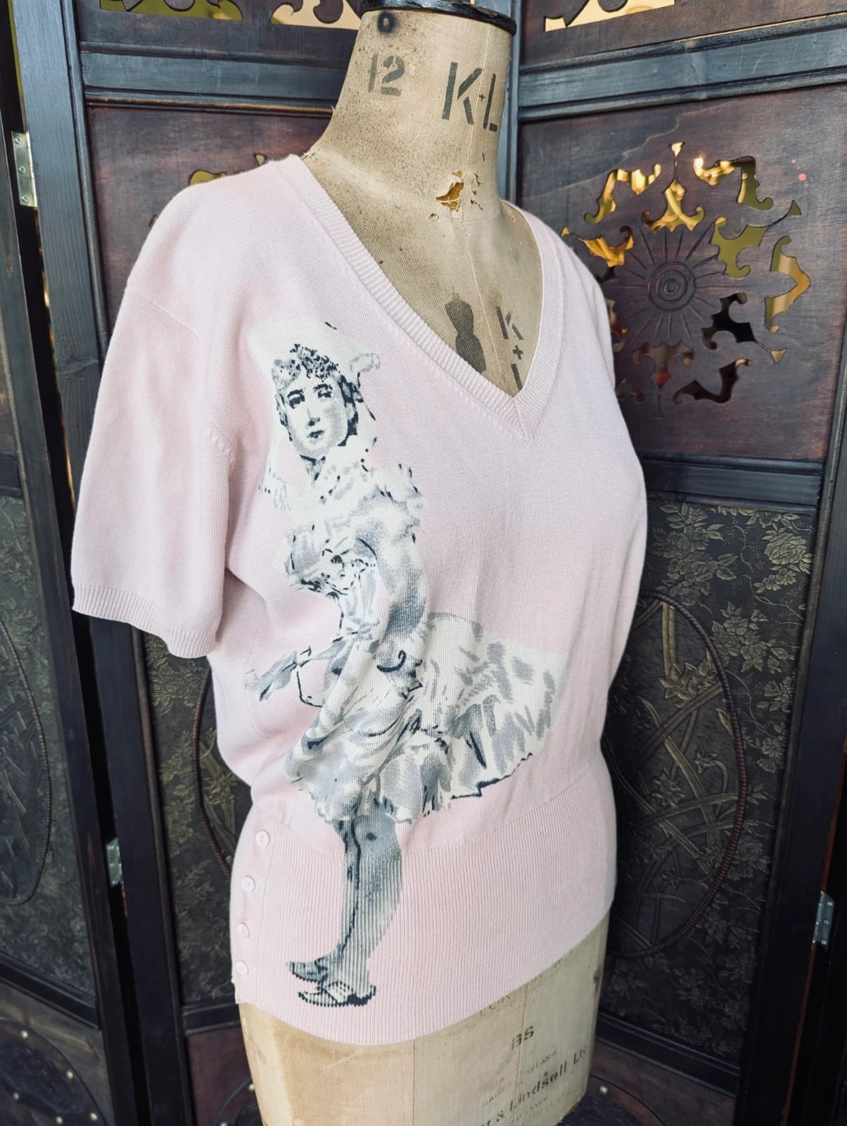 A Broochella Szen  light pink short-sleeve V-neck knit top with a large black and white winged graphic print on the front, displayed on a vintage wooden dress form mannequin. The background is an ornate, vintage dark wood room divider.