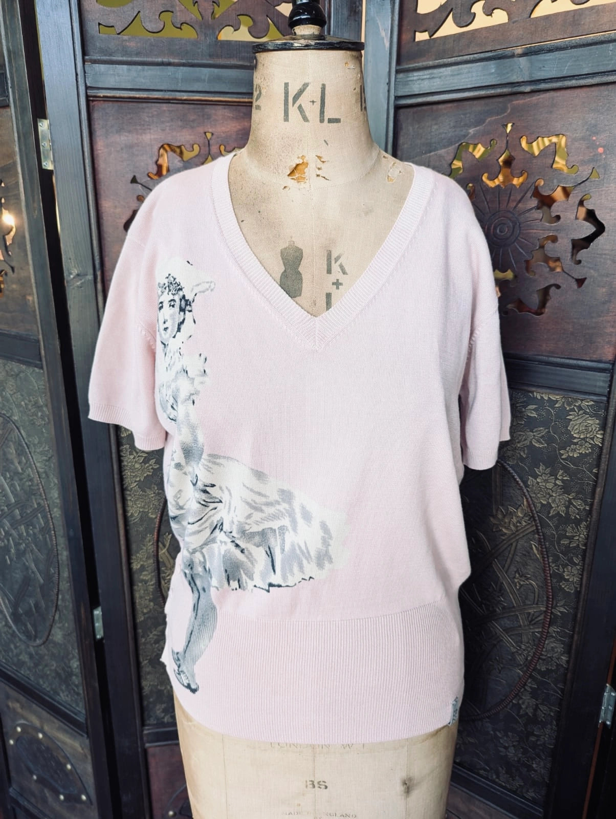 A Broochella Szen  light pink short-sleeve V-neck knit top with a large black and white winged graphic print on the front, displayed on a vintage wooden dress form mannequin. The background is an ornate, vintage dark wood room divider.