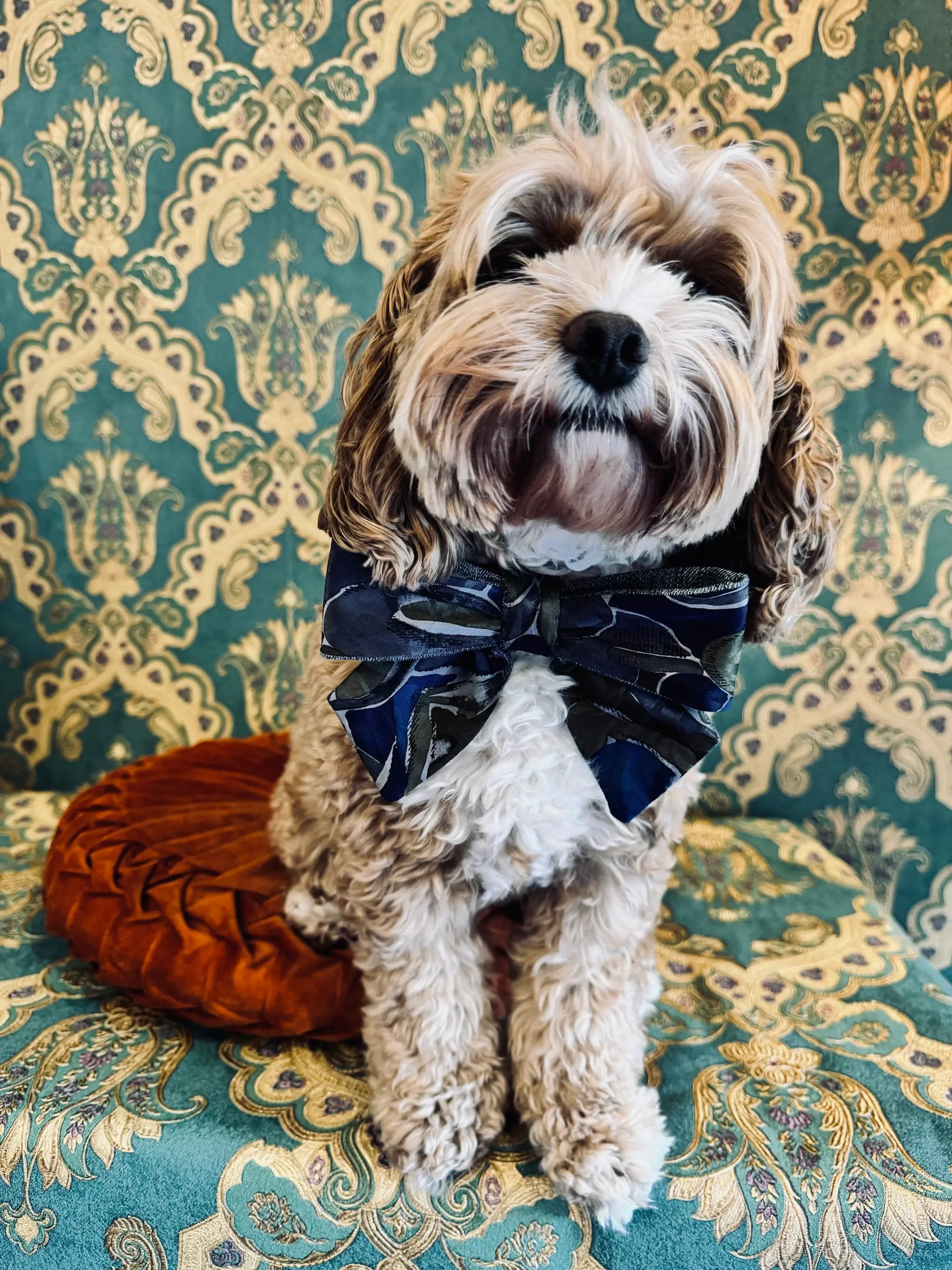 Broochella pet bow in navy. It is made from denim and a men's vintage tie. . Pictured on Bille the Cavoodle. She is sitting on an orange cushion. The background is green and gold damask wallpaper
