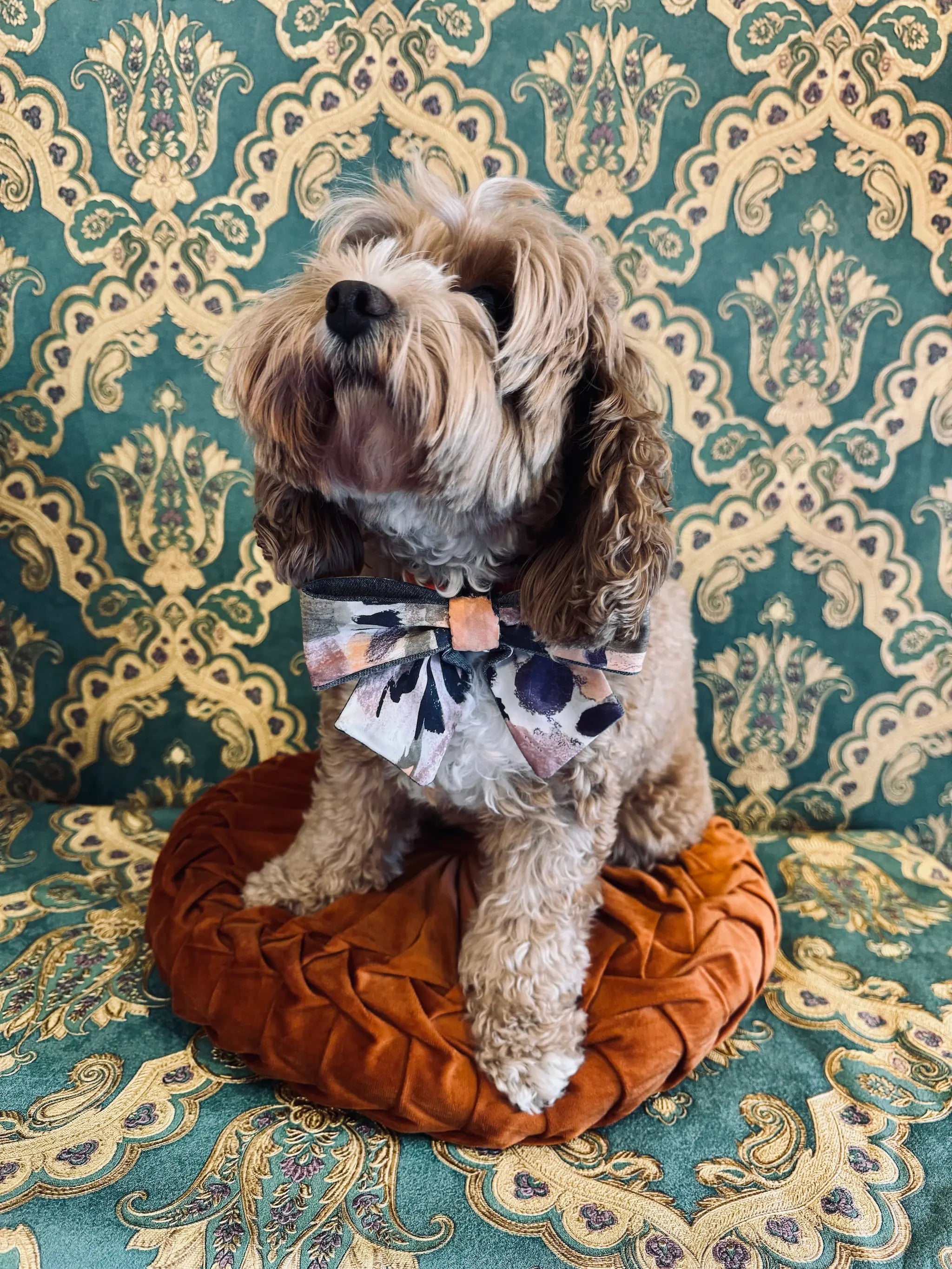 Broochella pet bow in orange and purple. It is made from denim and a men's vintage tie. Pictured on Bille the Cavoodle. She is sitting on an orange cushion. The background is green and gold damask wallpaper
