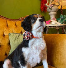 Load image into Gallery viewer, Poochella Bougainville Pet Collar
