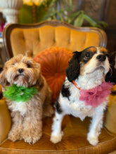 Load image into Gallery viewer, Poochella Aubrieta Pet Brooch
